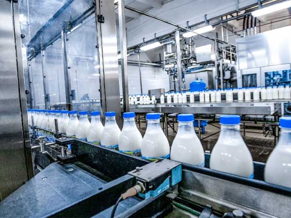 dairy